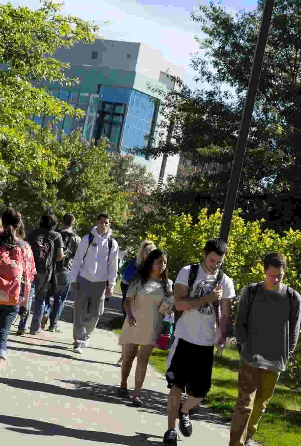 students near library